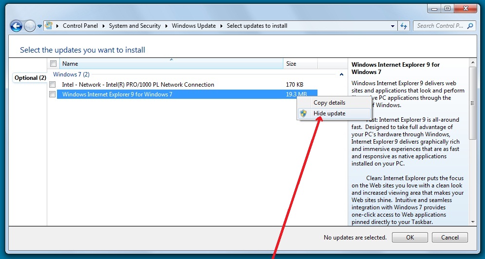 http://www.dxlabsuite.com/Wiki/Graphics/Windows/IE9Update.jpg